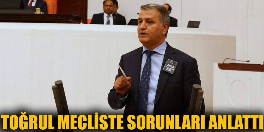 Toğrul mecliste sorunları anlattı Gaziantep Son Dakika Haberleri