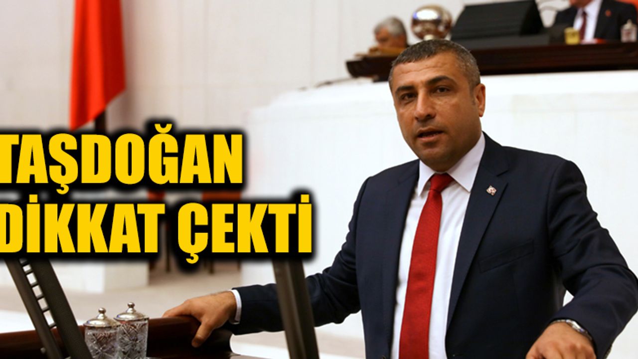 Taşdoğan dikkat çekti