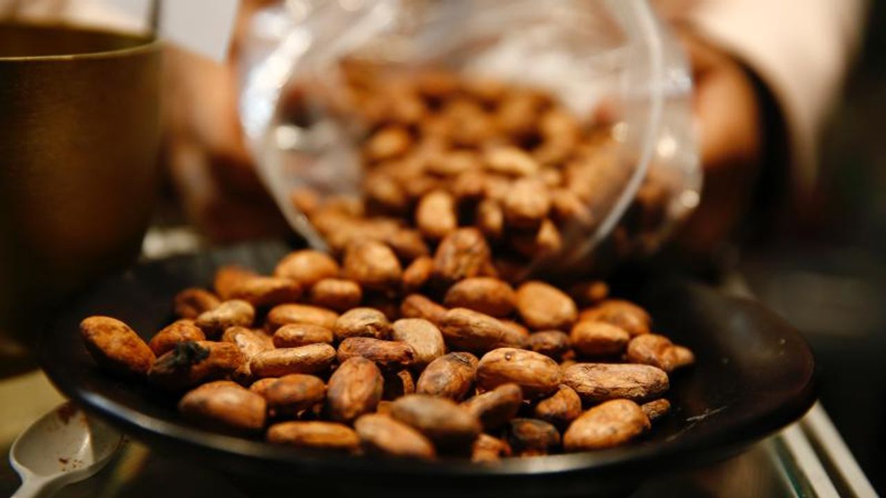 Bir fincan kakao vücutta mucize yaratıyor