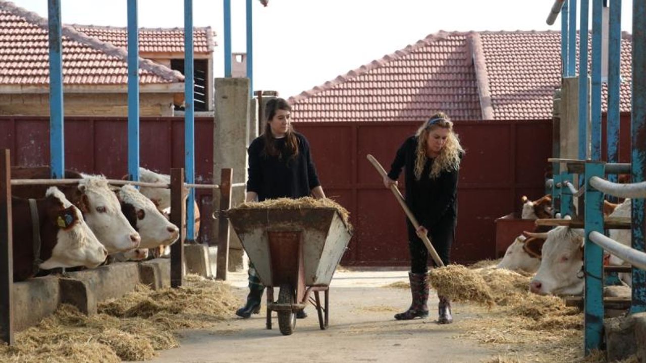 Hayvancılığa yeni destek paketi
