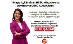 Emek Partisi Gaziantep Milletvekili Sevda Karaca'nın 1 Mayıs mesajı