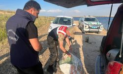 Jandarmadan yasak balık avına baskın