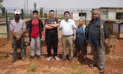 Cengiz Bayramdan örnek hayvan barınağı