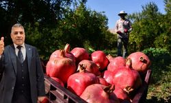 Bekir Hoca Oğuzeli’ne Nar suyu içmeye çağırdı