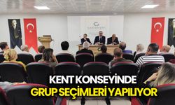 Kent Konseyinde grup seçimleri yapılıyor