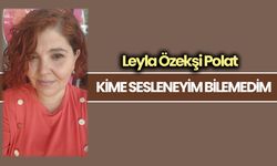 KİME SESLENEYİM BİLEMEDİM