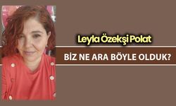 BİZ NE ARA BÖYLE OLDUK?