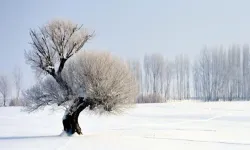 La nina kışı nedir? Gaziantep'e nasıl etki edecek?