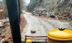 İslahiye'de yağışın ardından heyelan oluştu