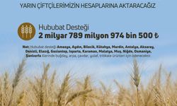 Çiftçilere hububat destek ödemesi