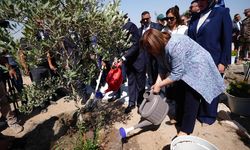 Bağdat’ı zeytin şehri yapacağız