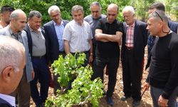 Batman’da 'modern bağcılık eğitimi'