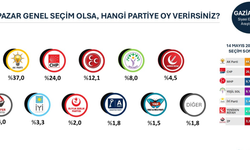 Dikkat çeken anket