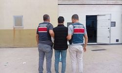 Hırsızlıktan aranıyordu, Jandarma yakaladı