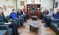 İşbirliği yapacaklar