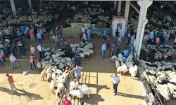 Kurban kesim ve satış yerleri açıklandı