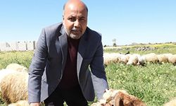 Tahmazoğlu’nun kararına sert tepki
