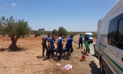 Tarlada ölü bulundu