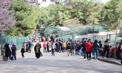 Yırtıcı adasında hedefler büyük
