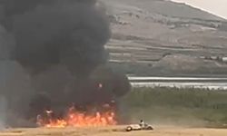 50 dönüm arazi kül oldu