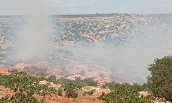Gaziantep'te Üreticiye Yangın Şoku