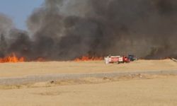 Gaziantep'te hasat öncesi felaket!