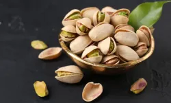 Antep Fıstığı altın çağını yaşıyor