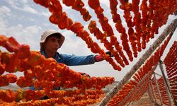 Kurutmalık sezonu açıldı