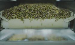 Tiryaki Agro'da hedef çok büyük