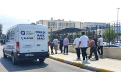 Egemen boğularak can verdi