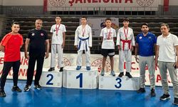 Şanlıurfa'ta Gaziantep rüzgarı esti