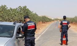 Fıstık tarlalarına güvenlik kalkanı