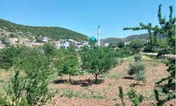 Üretici köylüye elektrik darbesi