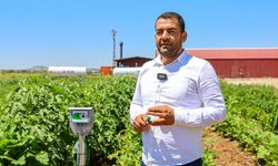 Ata tohumuna sahip çıktılar