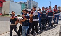 Dolandıcılık çetesine şok