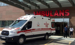 Kardeşlerin arazi kavgası kanlı bitti
