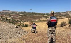 Küçükbaş hayvanlar sınırda bulundu