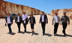 Şahin imkansızı gerçekleştirecek