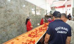 Salçacılar denetim altında