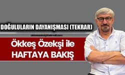 DOĞULULARIN DAYANIŞMASI (TEKRAR)