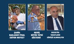 Fıstıkta ithalat tartışması