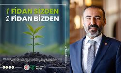 GTO'dan fidan hamlesi