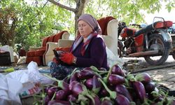 Kadınların kurutmalık mesaisi