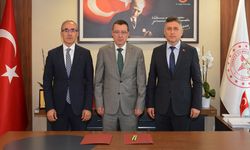 Tarihi iş birliği
