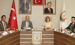 Şanlıurfa'ya iş birliği ziyareti