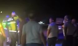 Yolun karşısına geçemedi