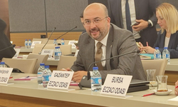 Eczacıların sorunu ithal ilaçlarda