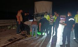 Gaziantep-Nizip yolunda can pazarı