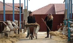 Hayvancılığa yeni destek paketi
