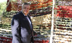 Kurutmalıklar dünya mutfağında
